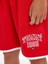 Tommy Hilfiger Tommy Varsity Къси панталони детски